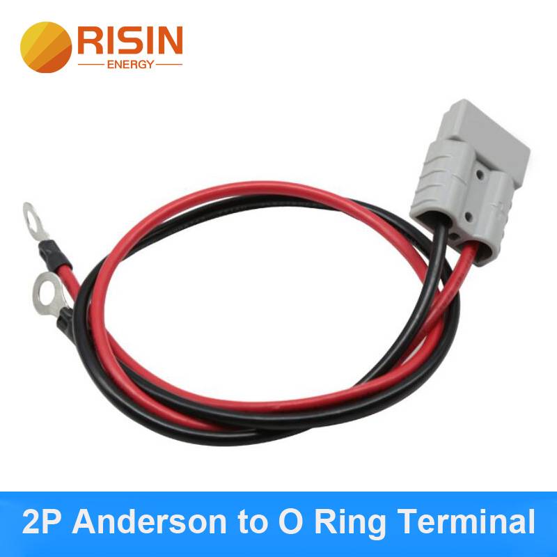 2P Anderson to O ring Terminal